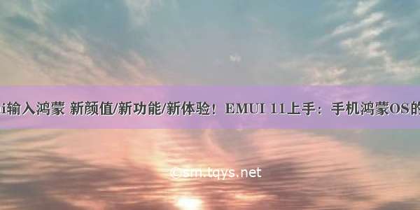 华为向emui输入鸿蒙 新颜值/新功能/新体验！EMUI 11上手：手机鸿蒙OS的提前预演...