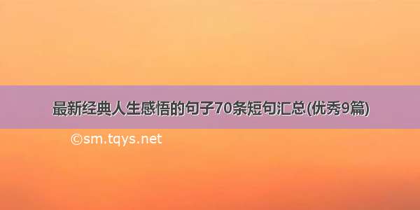 最新经典人生感悟的句子70条短句汇总(优秀9篇)