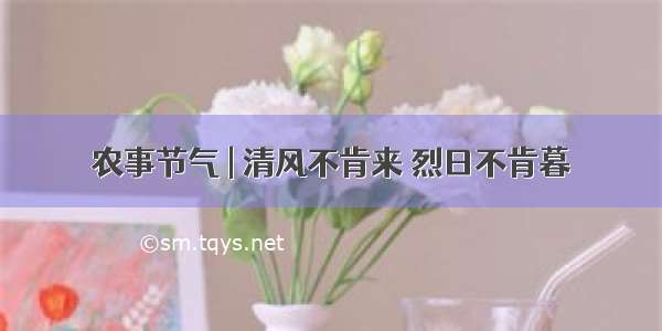 农事节气 | 清风不肯来 烈日不肯暮