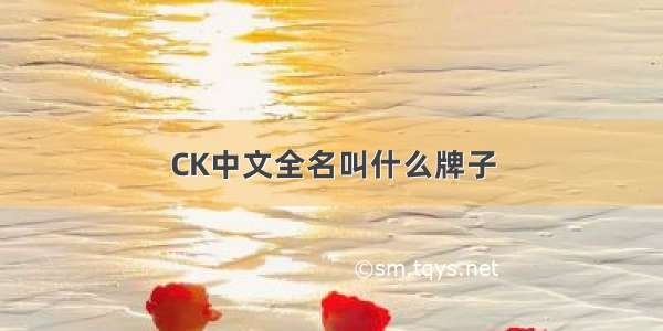 CK中文全名叫什么牌子