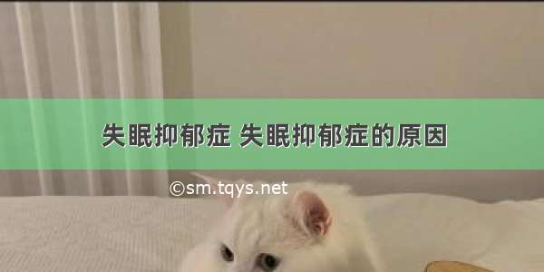 失眠抑郁症 失眠抑郁症的原因