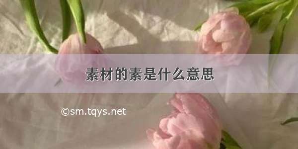 素材的素是什么意思