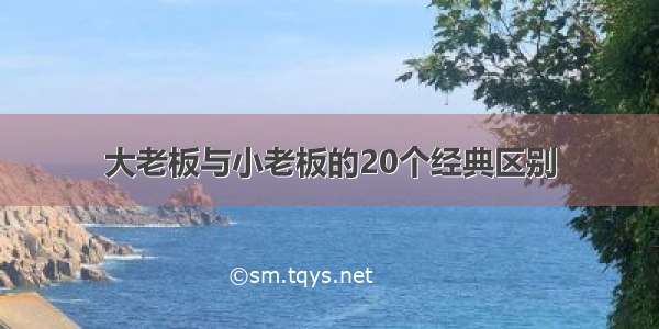 大老板与小老板的20个经典区别