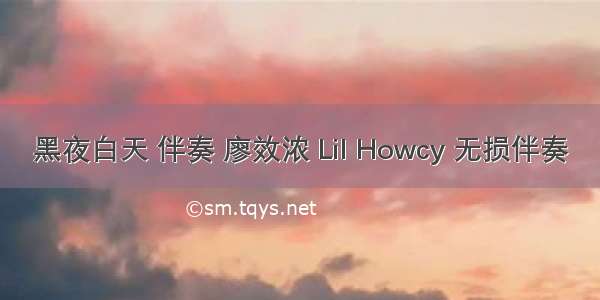 黑夜白天 伴奏 廖效浓 Lil Howcy 无损伴奏