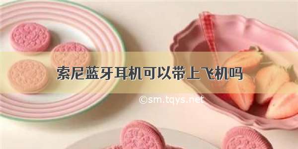 索尼蓝牙耳机可以带上飞机吗