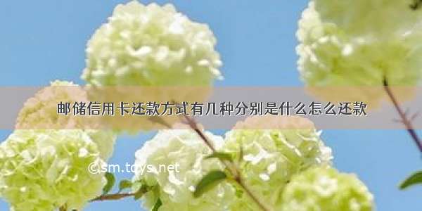 邮储信用卡还款方式有几种分别是什么怎么还款