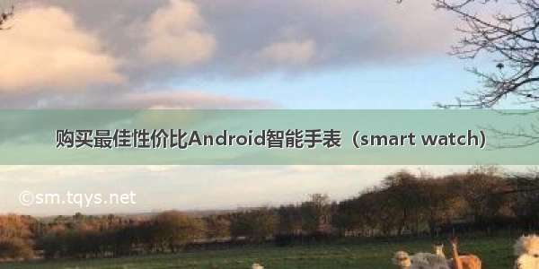 购买最佳性价比Android智能手表（smart watch）