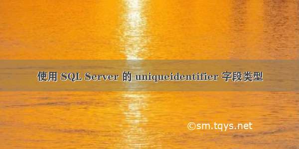 使用 SQL Server 的 uniqueidentifier 字段类型