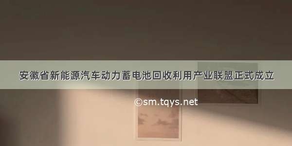 安徽省新能源汽车动力蓄电池回收利用产业联盟正式成立