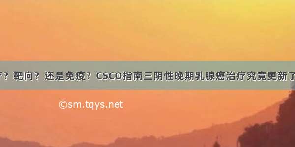 化疗？靶向？还是免疫？CSCO指南三阴性晚期乳腺癌治疗究竟更新了啥？