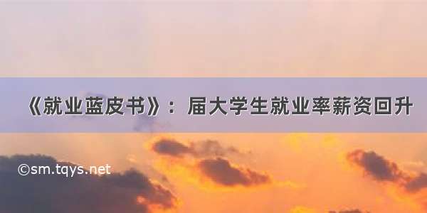 《就业蓝皮书》：届大学生就业率薪资回升