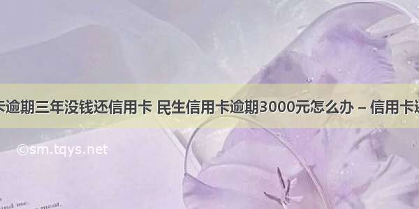 民生信用卡逾期三年没钱还信用卡 民生信用卡逾期3000元怎么办 – 信用卡还款 – 前端