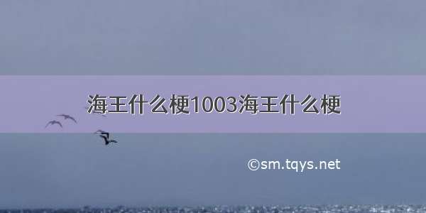 海王什么梗1003海王什么梗