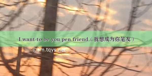 I want to be you pen friend（我想成为你笔友）