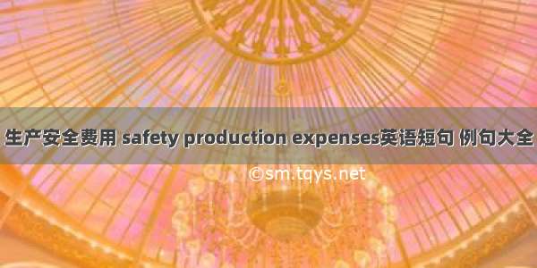 生产安全费用 safety production expenses英语短句 例句大全