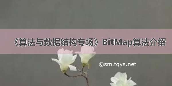 《算法与数据结构专场》BitMap算法介绍