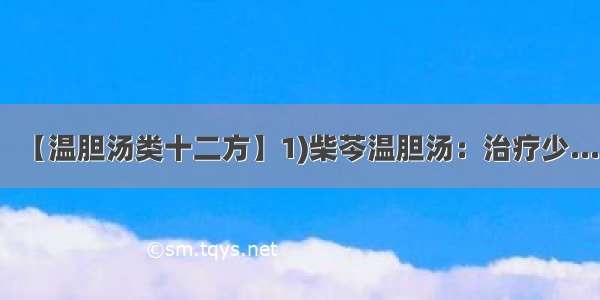 【温胆汤类十二方】1)柴芩温胆汤：治疗少...