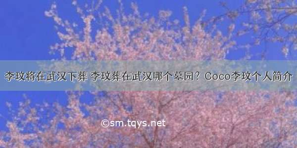 李玟将在武汉下葬 李玟葬在武汉哪个墓园？Coco李玟个人简介