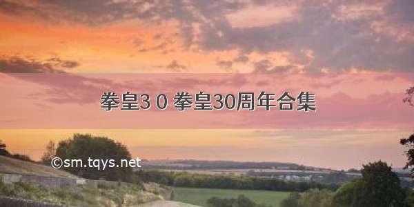 拳皇3 0 拳皇30周年合集