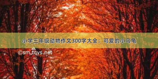 小学三年级动物作文300字大全：可爱的小乌龟