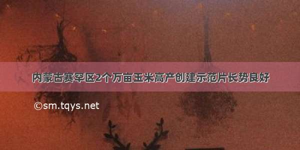 内蒙古赛罕区2个万亩玉米高产创建示范片长势良好