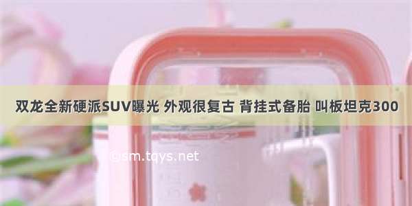 双龙全新硬派SUV曝光 外观很复古 背挂式备胎 叫板坦克300