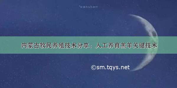 内蒙古牧民养殖技术分享：人工养育羔羊关键技术