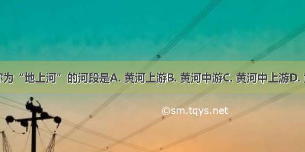 黄河被称为“地上河”的河段是A. 黄河上游B. 黄河中游C. 黄河中上游D. 黄河下游