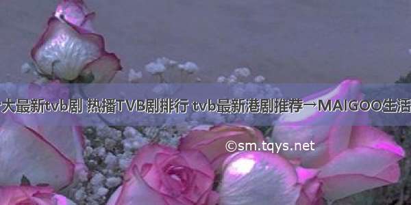 十大最新tvb剧 热播TVB剧排行 tvb最新港剧推荐→MAIGOO生活榜