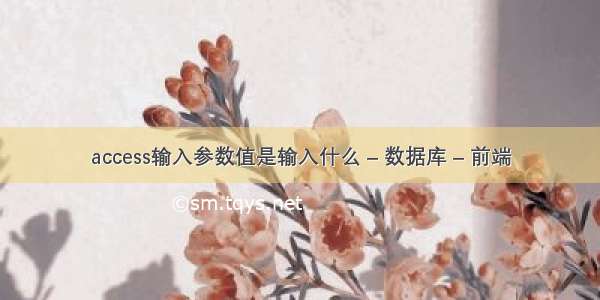 access输入参数值是输入什么 – 数据库 – 前端