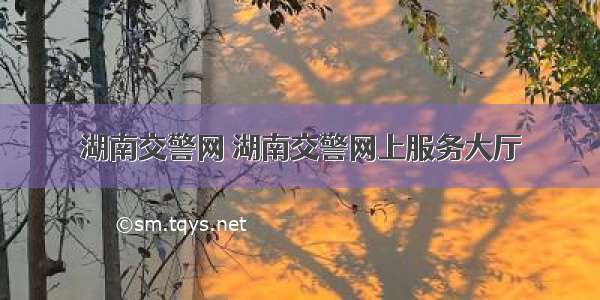 湖南交警网 湖南交警网上服务大厅