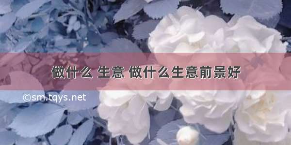 做什么 生意 做什么生意前景好