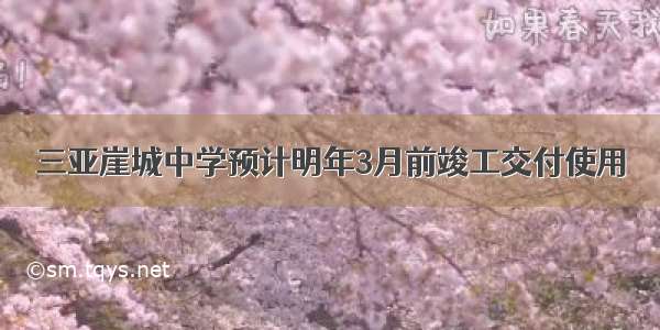 三亚崖城中学预计明年3月前竣工交付使用→