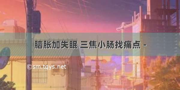 脑胀加失眠 三焦小肠找痛点 -