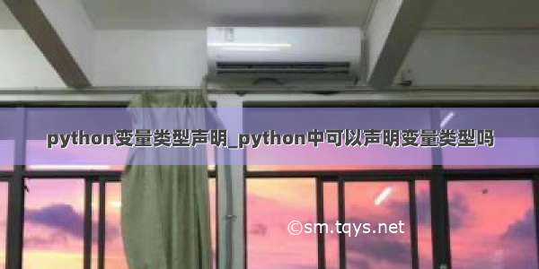 python变量类型声明_python中可以声明变量类型吗