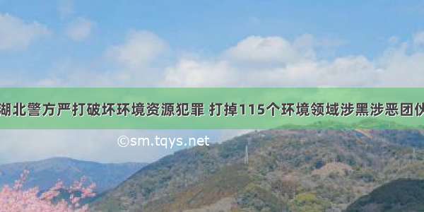 湖北警方严打破坏环境资源犯罪 打掉115个环境领域涉黑涉恶团伙