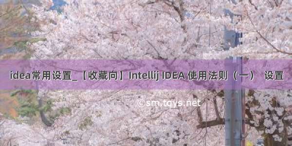 idea常用设置_【收藏向】Intellij IDEA 使用法则（一）  设置