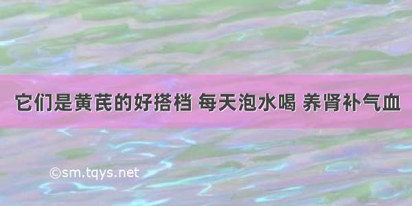 它们是黄芪的好搭档 每天泡水喝 养肾补气血