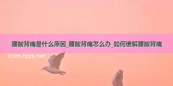 腰酸背痛是什么原因_腰酸背痛怎么办_如何缓解腰酸背痛