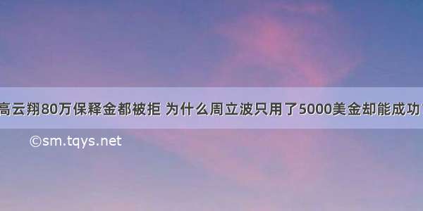 高云翔80万保释金都被拒 为什么周立波只用了5000美金却能成功？