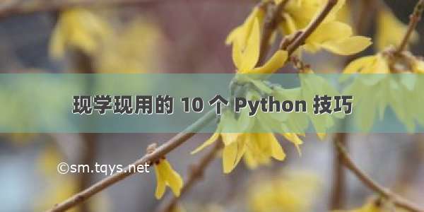 现学现用的 10 个 Python 技巧