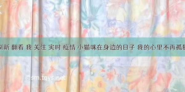 刷新 翻看 我 关注 实时 疫情 小猫咪在身边的日子 我的心里不再孤独