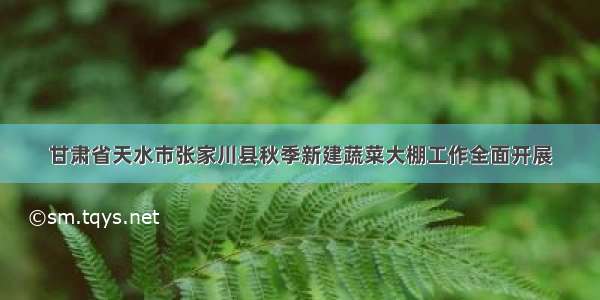 甘肃省天水市张家川县秋季新建蔬菜大棚工作全面开展