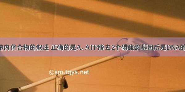 下列关于细胞内化合物的叙述 正确的是A. ATP脱去2个磷酸酸基团后是DNA的基本组成单