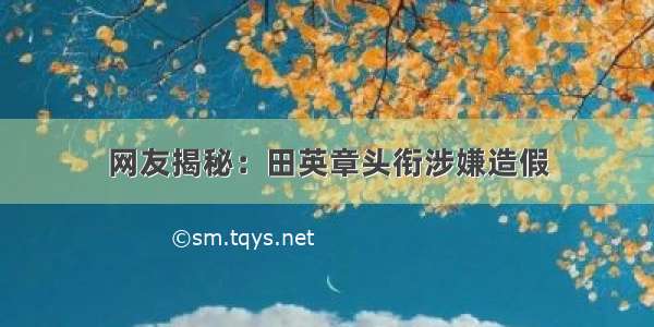 网友揭秘：田英章头衔涉嫌造假