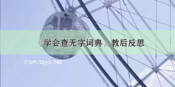 《学会查无字词典》教后反思