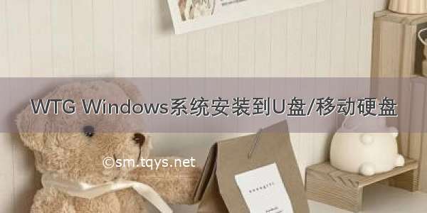 WTG Windows系统安装到U盘/移动硬盘