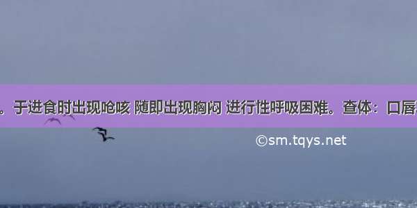 男性 6岁。于进食时出现呛咳 随即出现胸闷 进行性呼吸困难。查体：口唇发绀 可闻