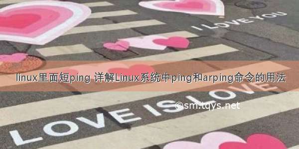 linux里面短ping 详解Linux系统中ping和arping命令的用法