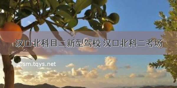 汉口北科目二新型驾校 汉口北科二考场